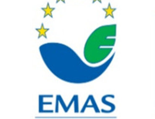 Resolución de la Dirección General de Medio Ambiente por la que se aprueba la inscripción en el Registro del Sistema Comunitario de Gestión y Auditoría Medioambiental (EMAS) de la empresa Bergé Marítima, S.L., con CIF B95524898