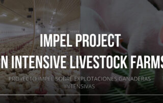Imagen de enlace al vídeo IMPEL project