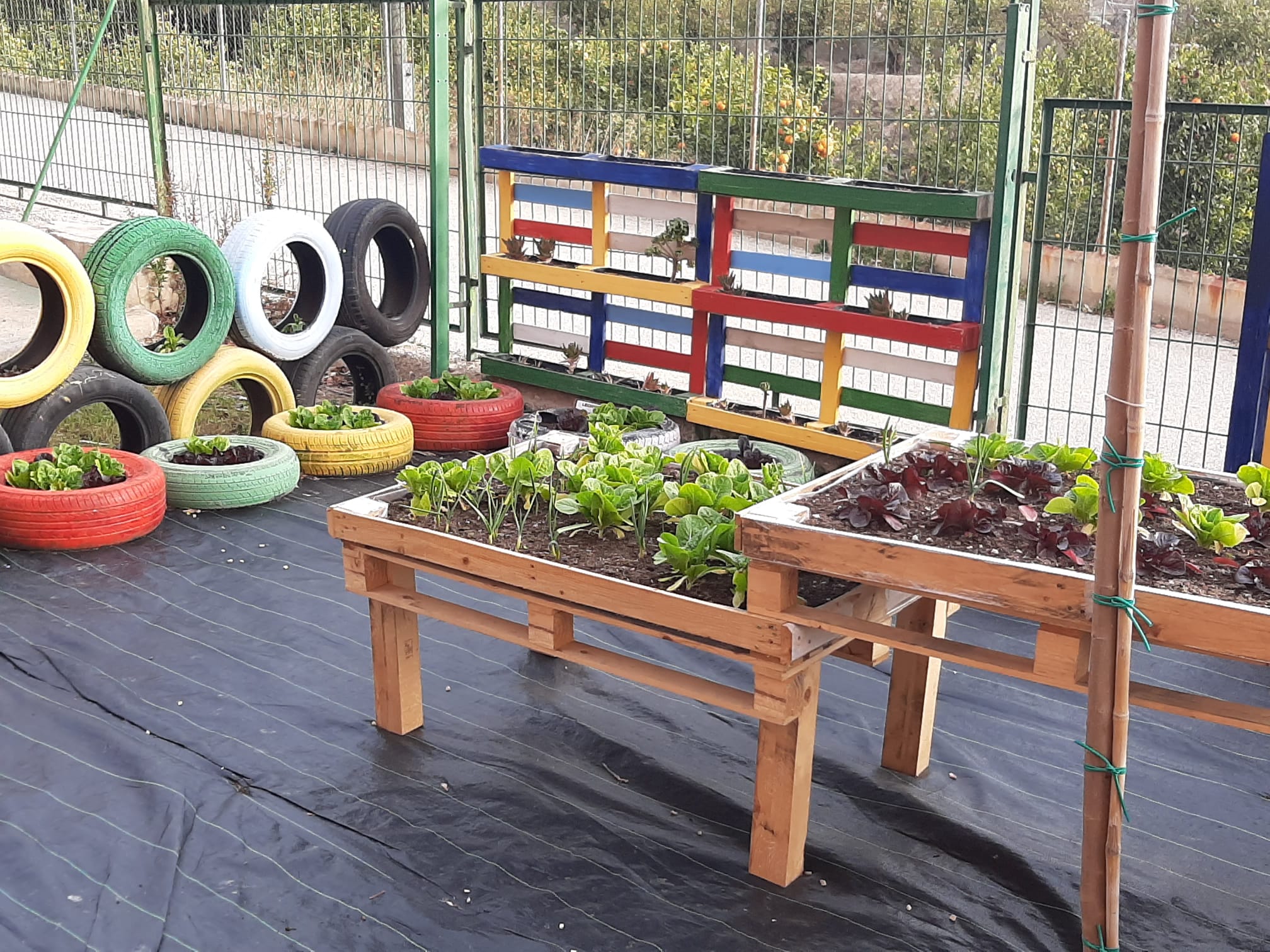 Compostaje en el colegio Nuestra Señora del Rosario de Alhama.